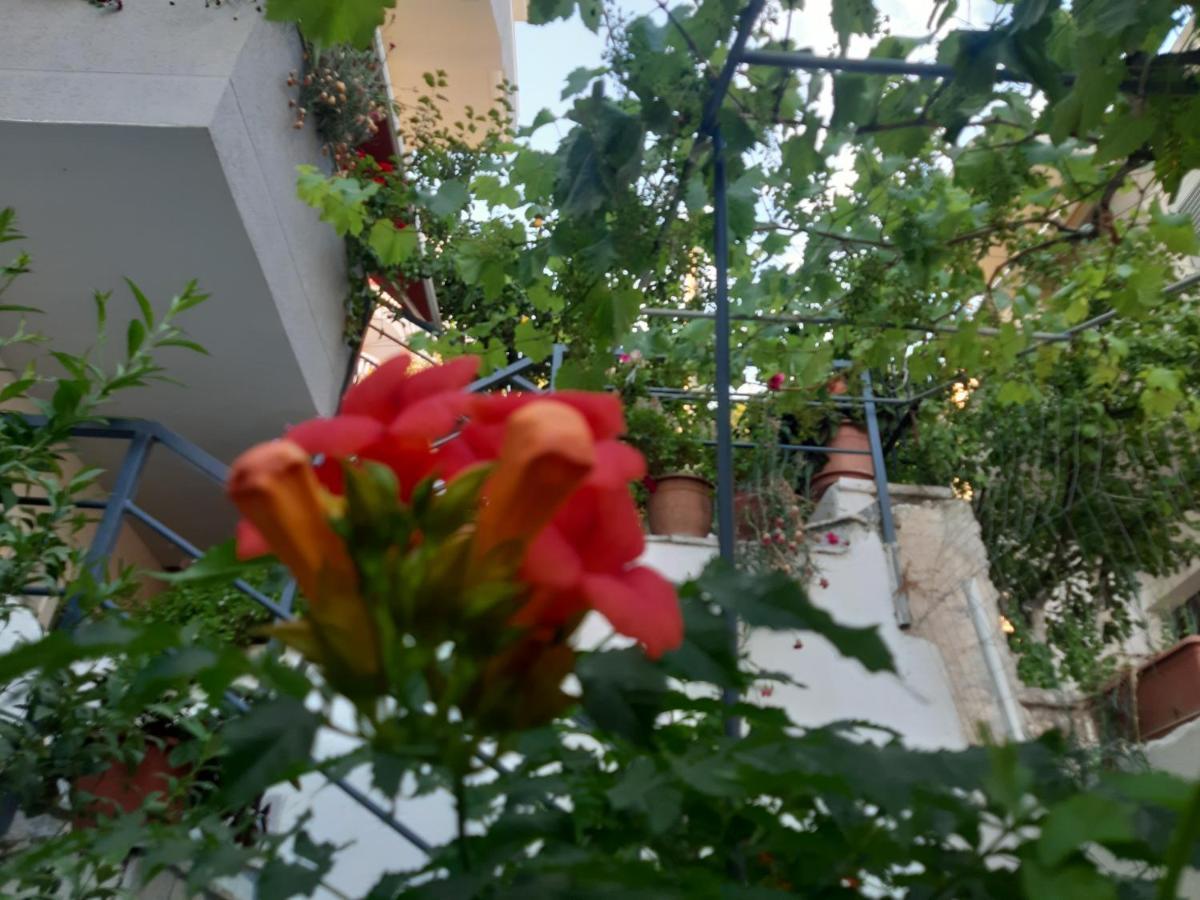 Mane Apartments Sarande Bagian luar foto